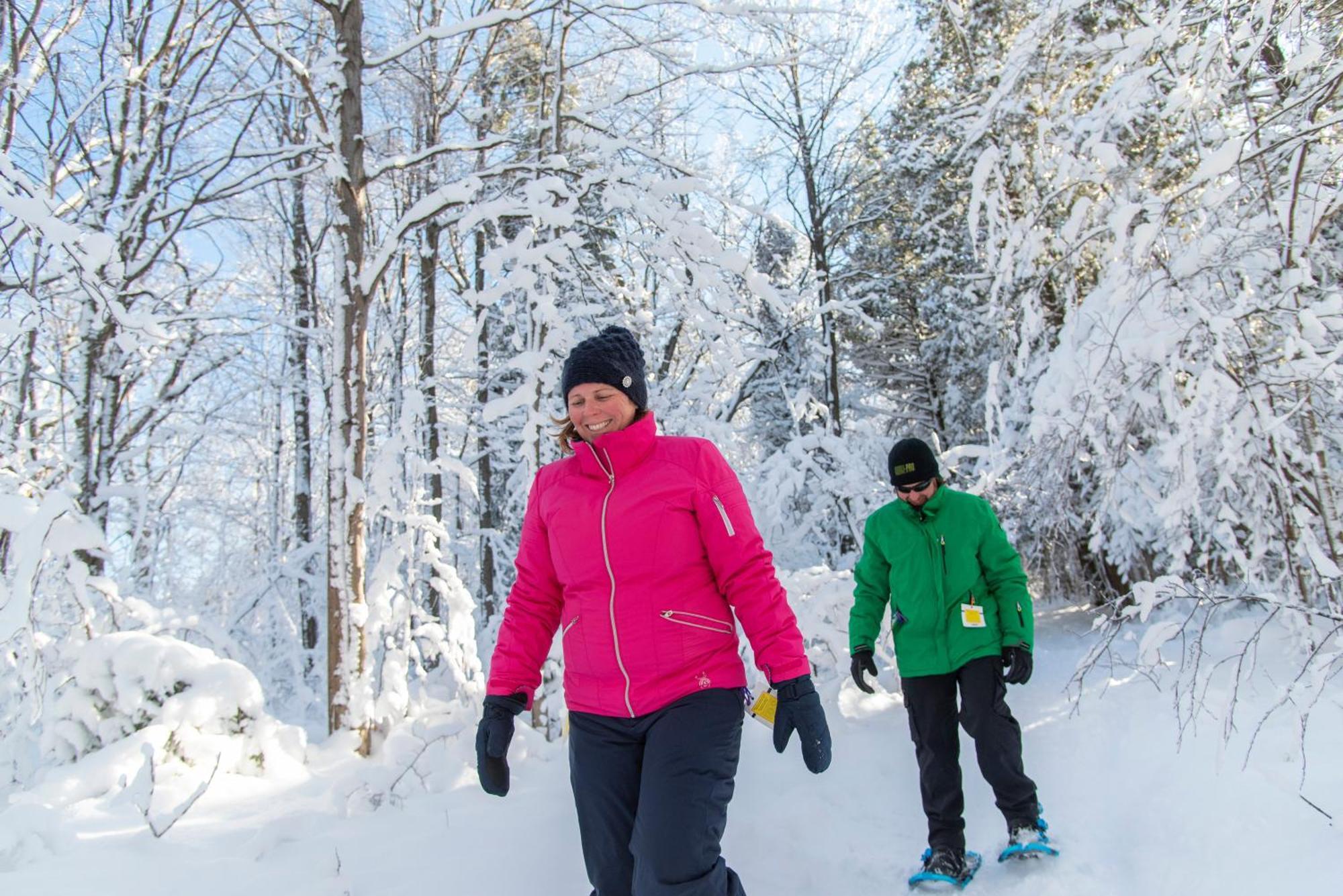 Blue Mountain Resort Mosaic Suites ブルー・マウンテンズ エクステリア 写真